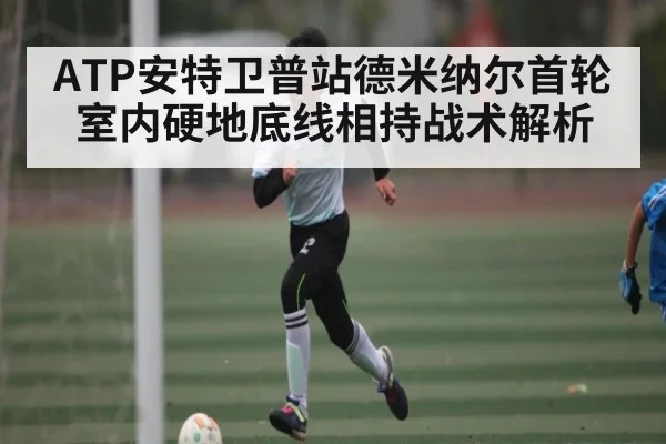 ATP安特卫普站德米纳尔首轮室内硬地底线相持战术解析