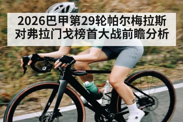 2026巴甲第29轮帕尔梅拉斯对弗拉门戈榜首大战前瞻分析